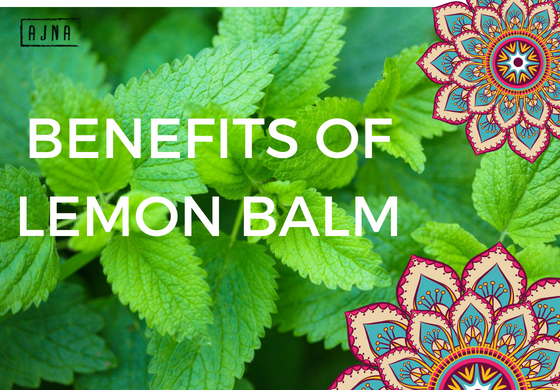 The Benefits Of Lemon Balm